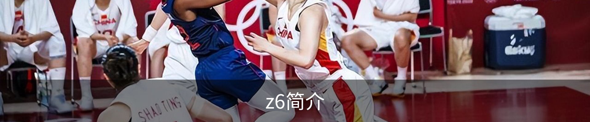 z6简介
